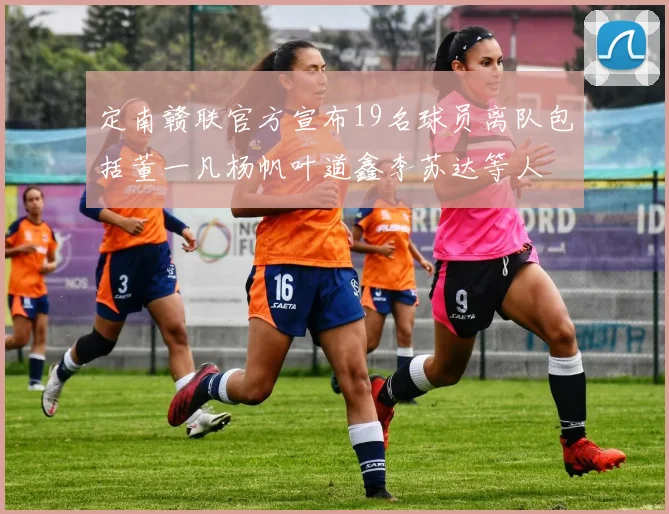 定南赣联官方宣布19名球员离队包括董一凡杨帆叶道鑫李苏达等人