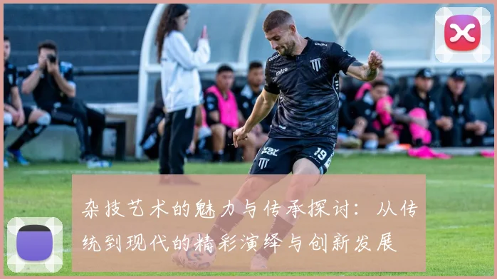 杂技艺术的魅力与传承探讨：从传统到现代的精彩演绎与创新发展