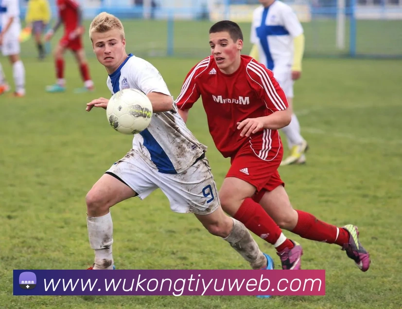 悟空体育发展历程