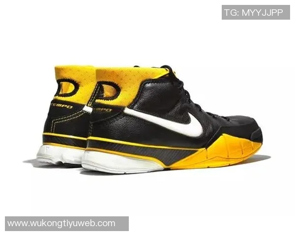 利拉德分享字母哥送的新款签名球鞋展现深厚友谊与团队精神